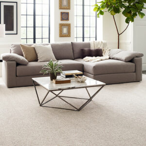 Living room carpet flooring | Clark Dunbar Flooring Superstore