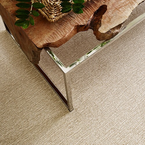 Carpet Flooring | Clark Dunbar Flooring Superstore
