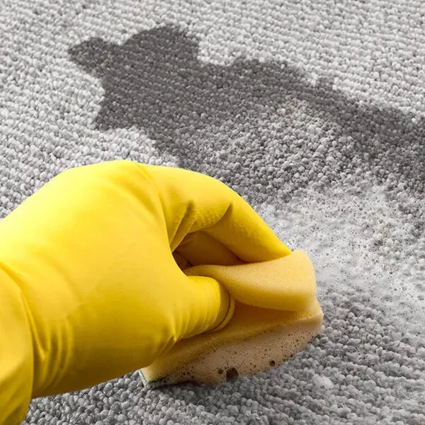 Carpet-PreTest-square