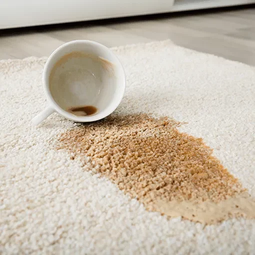 Spills-Stains Spills-Stains